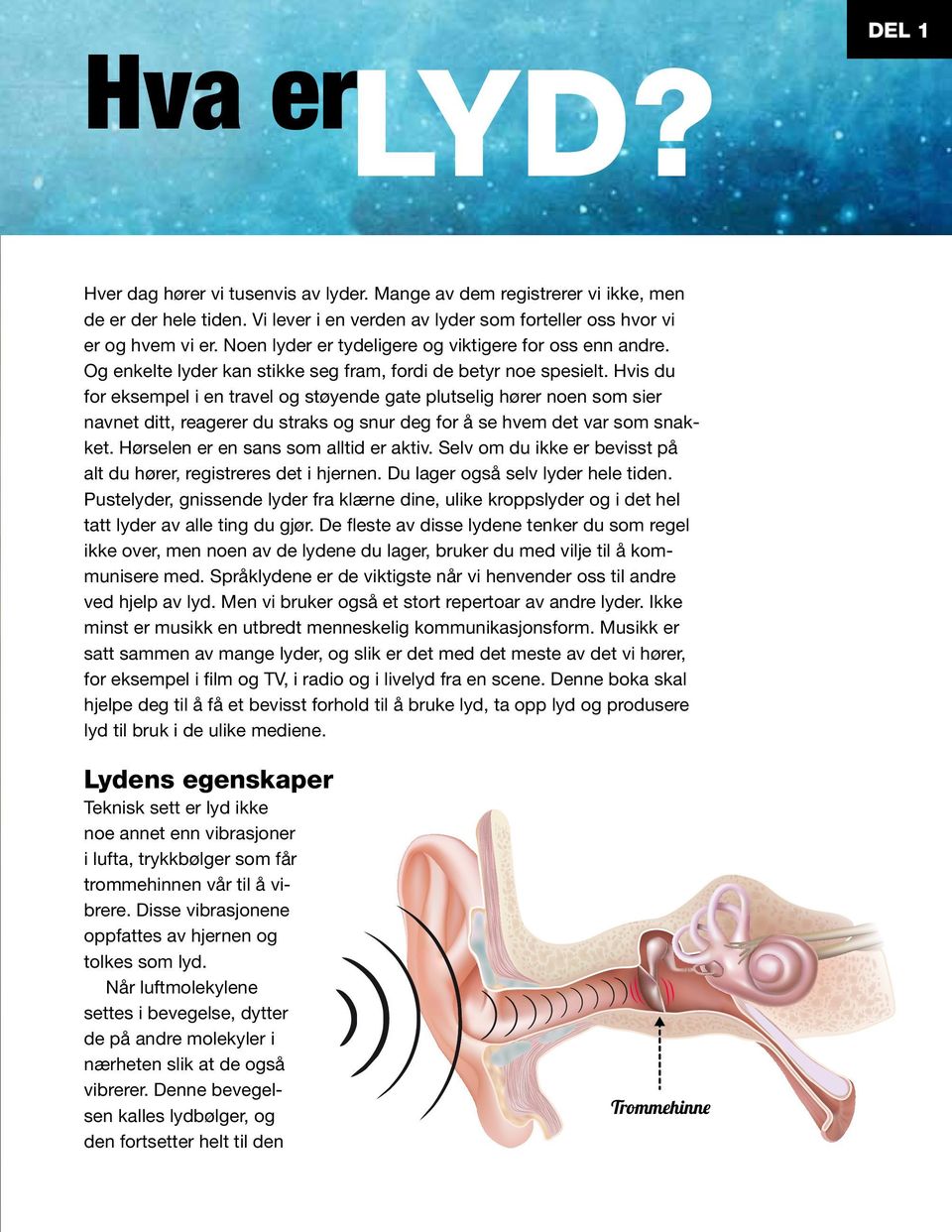 Hvis du for eksempel i en travel og støyende gate plutselig hører noen som sier navnet ditt, reagerer du straks og snur deg for å se hvem det var som snak ket. Hørselen er en sans som alltid er aktiv.