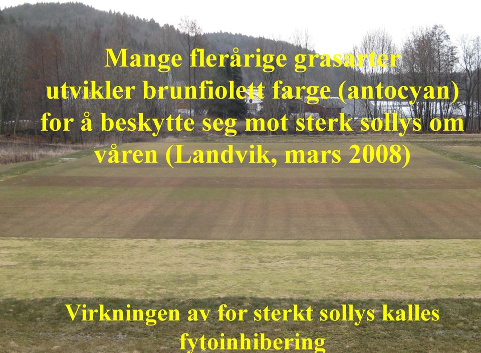 seg mot sterk sollys om våren (Landvik, mars