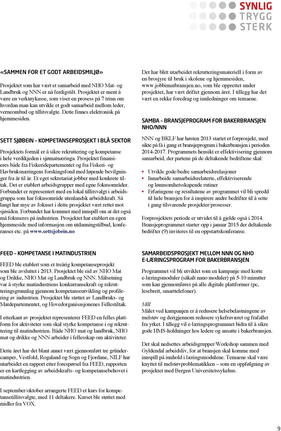 Dette finnes elektronisk på hjemmesiden. SETT SJØBEIN KOMPETANSEPROSJEKT I BLÅ SEKTOR Prosjektets formål er å sikre rekruttering og kompetanse i hele verdikjeden i sjømatnæringa.