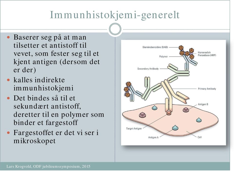 indirekte immunhistokjemi Det bindes så til et sekundært antistoff,