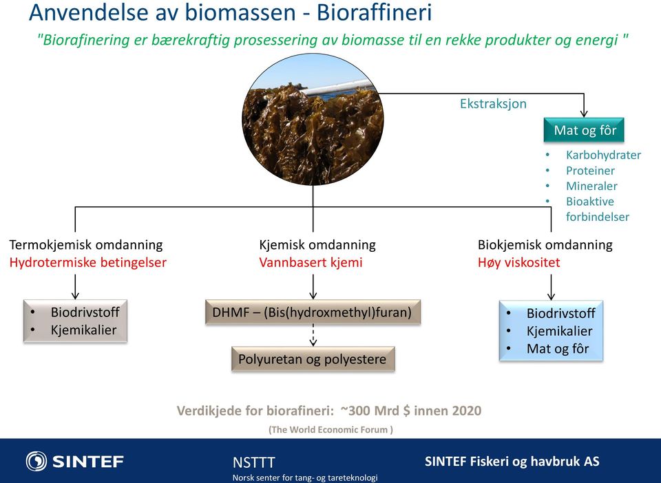 Kjemisk omdanning Vannbasert kjemi Biokjemisk omdanning Høy viskositet Biodrivstoff Kjemikalier DHMF (Bis(hydroxmethyl)furan)