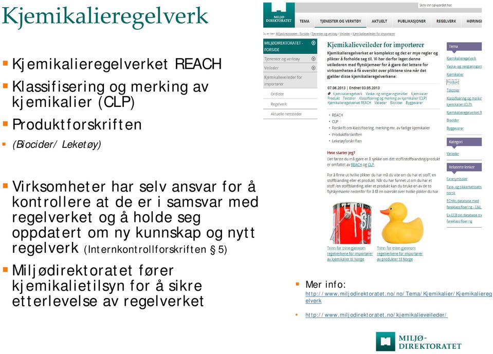 kunnskap og nytt regelverk (Internkontrollforskriften 5) Miljødirektoratet fører kjemikalietilsyn for å sikre etterlevelse av