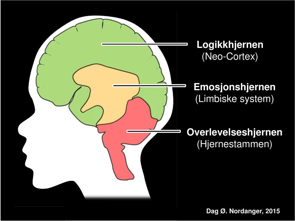 Emosjonshjernen