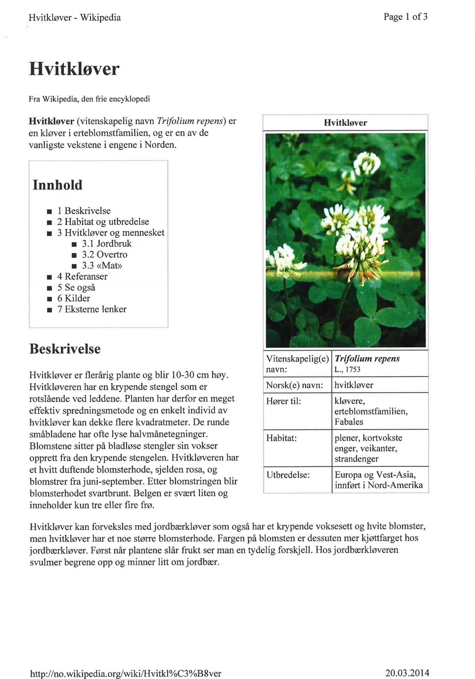 3 <Mat> r 4 Referanser r 5 Se også r 6 Kilder r 7 Eksterne lenker Beskrivelse Hvitkløver er flerårig plante og blir 10-30 cmhøy. Hvitkløveren har en krypende stengel som er rotslående ved leddene.