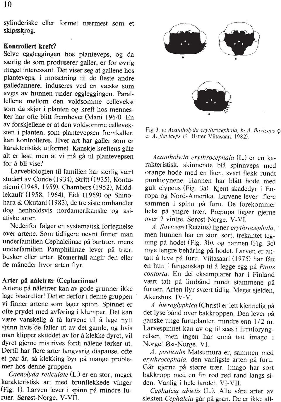 Parallellene mellom den voldsomme cellevekst som da skjer i planten og kreft hos mennesker har ofte blitt fremhevet (Mani 1964).