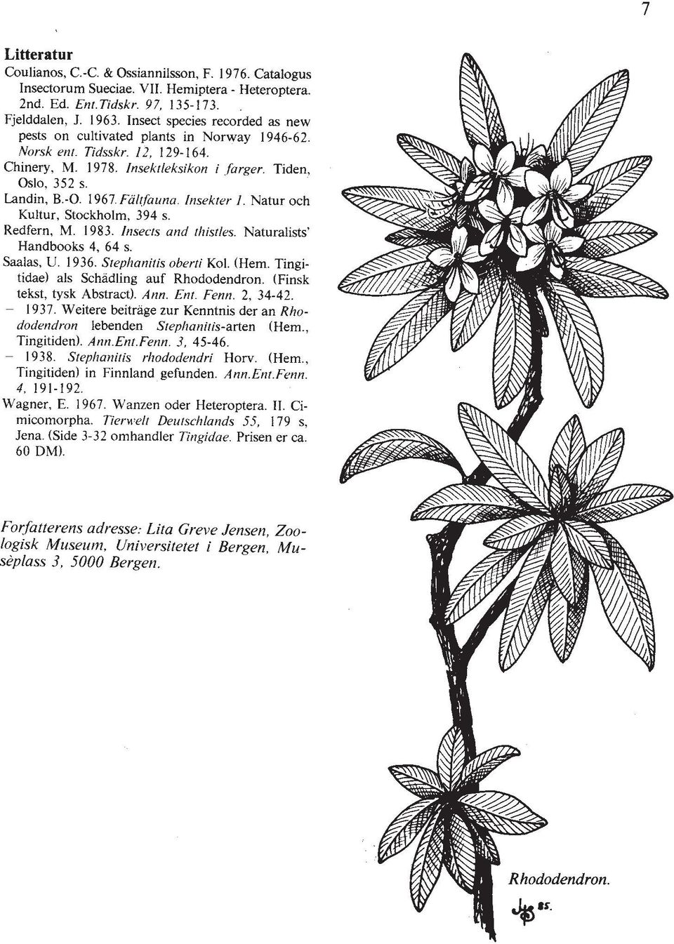 Faltfuuna. lnsekter 1. Natur och Kultur, Stockholm, 394 s. Redfern, M. 1983. Insects and thistles. Naturalists' Handbooks 4, 64 s. Saalas, U. 1936. Stephanitis obrrti Kol. (Hem.