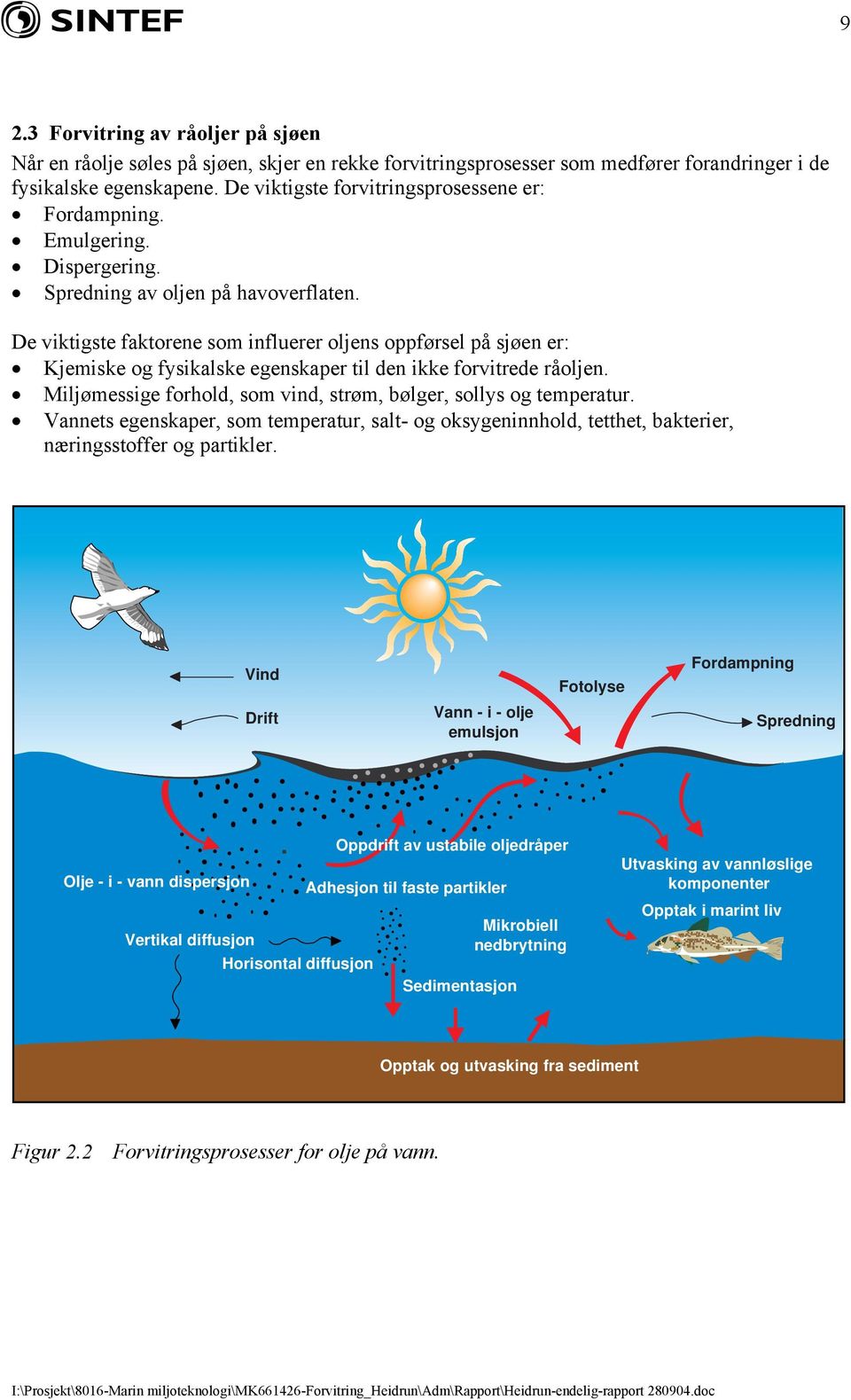 De viktigste faktorene som influerer oljens oppførsel på sjøen er: Kjemiske og fysikalske egenskaper til den ikke forvitrede råoljen.