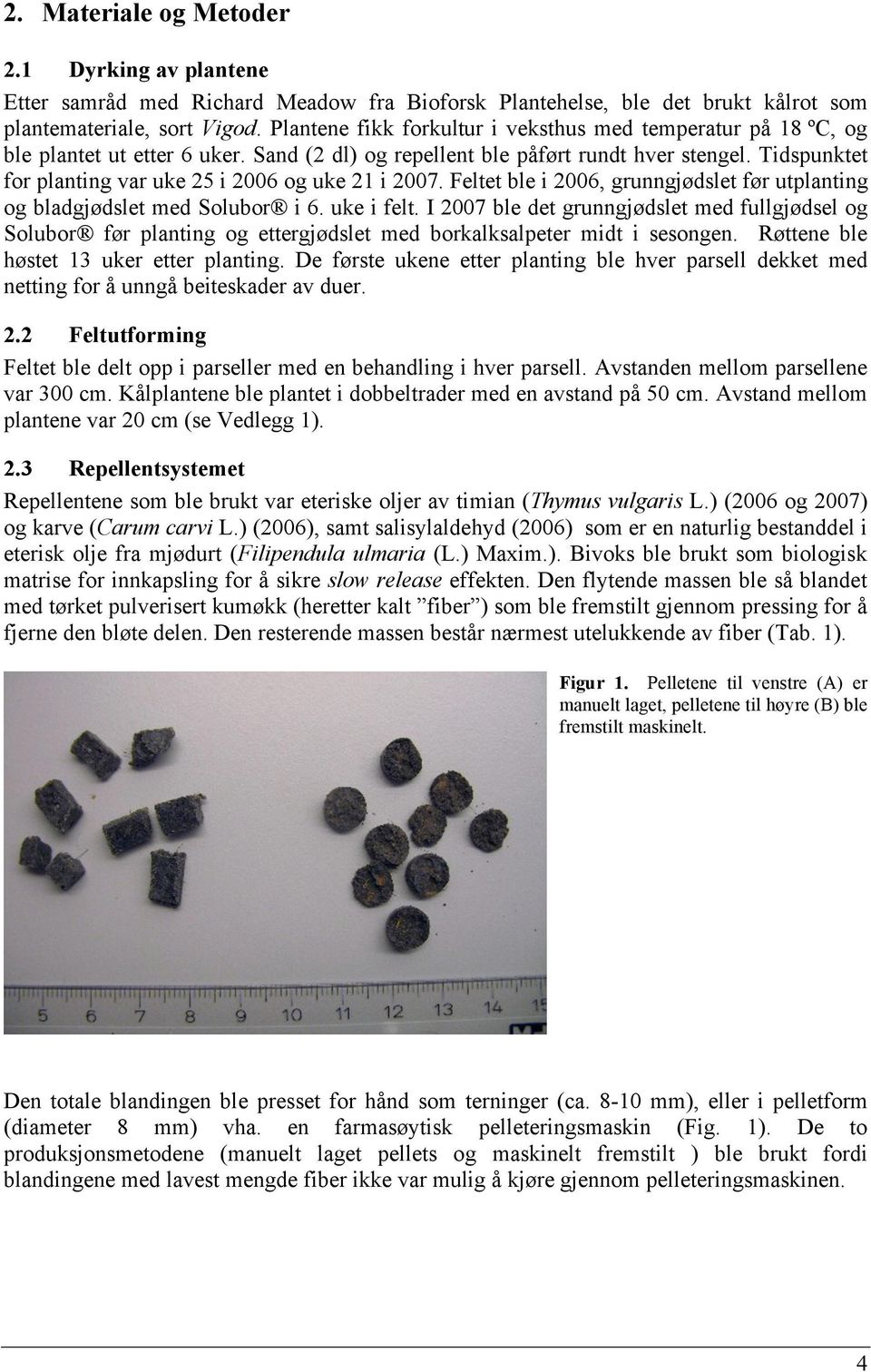 Tidspunktet for planting var uke 25 i 2006 og uke 21 i 2007. Feltet ble i 2006, grunngjødslet før utplanting og bladgjødslet med Solubor i 6. uke i felt.