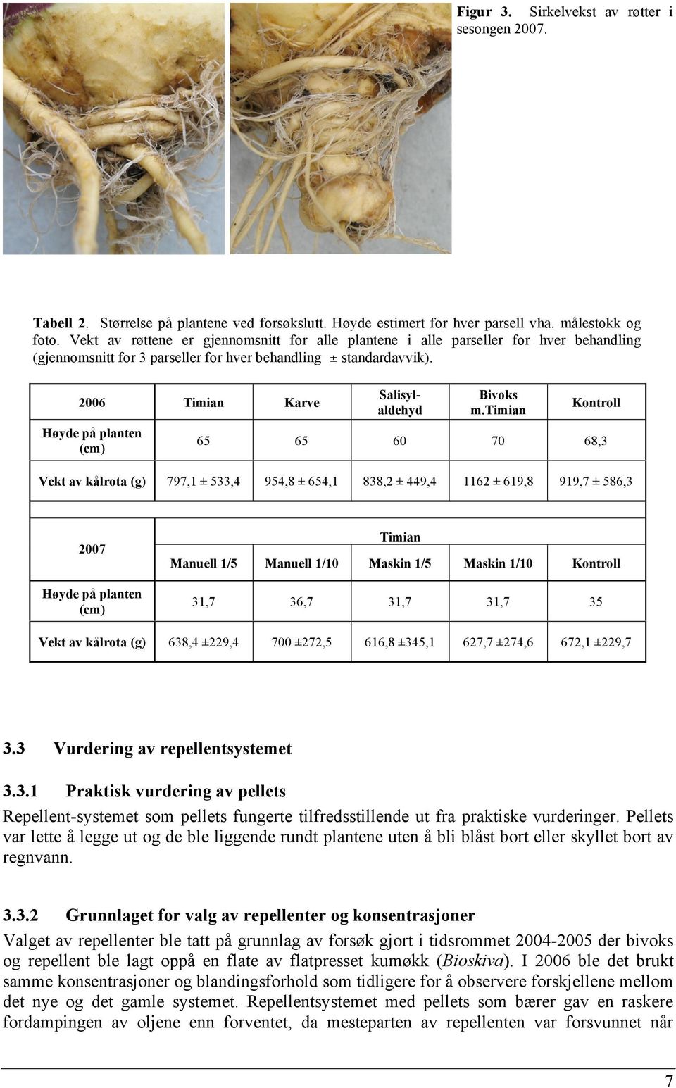 timian Kontroll Høyde på planten (cm) 65 65 60 70 68,3 Vekt av kålrota (g) 797,1 ± 533,4 954,8 ± 654,1 838,2 ± 449,4 1162 ± 619,8 919,7 ± 586,3 2007 3.