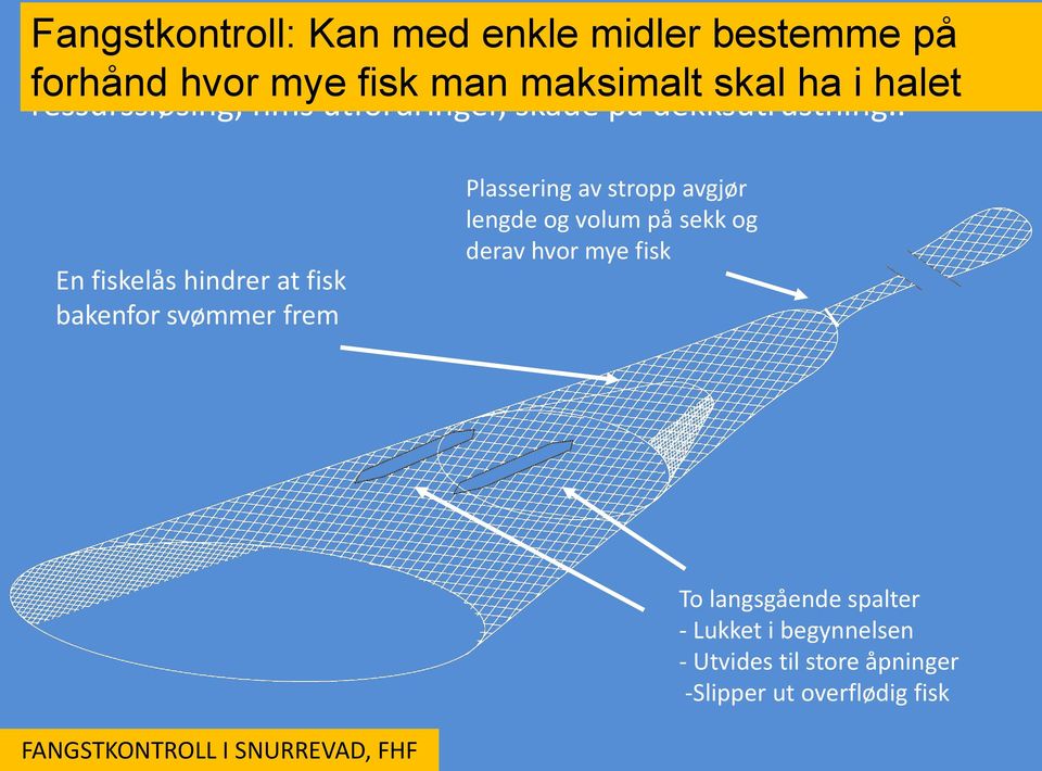 . Fangstkontroll: Kan med enkle midler bestemme på forhånd hvor mye fisk man maksimalt skal ha i halet En fiskelås hindrer at fisk