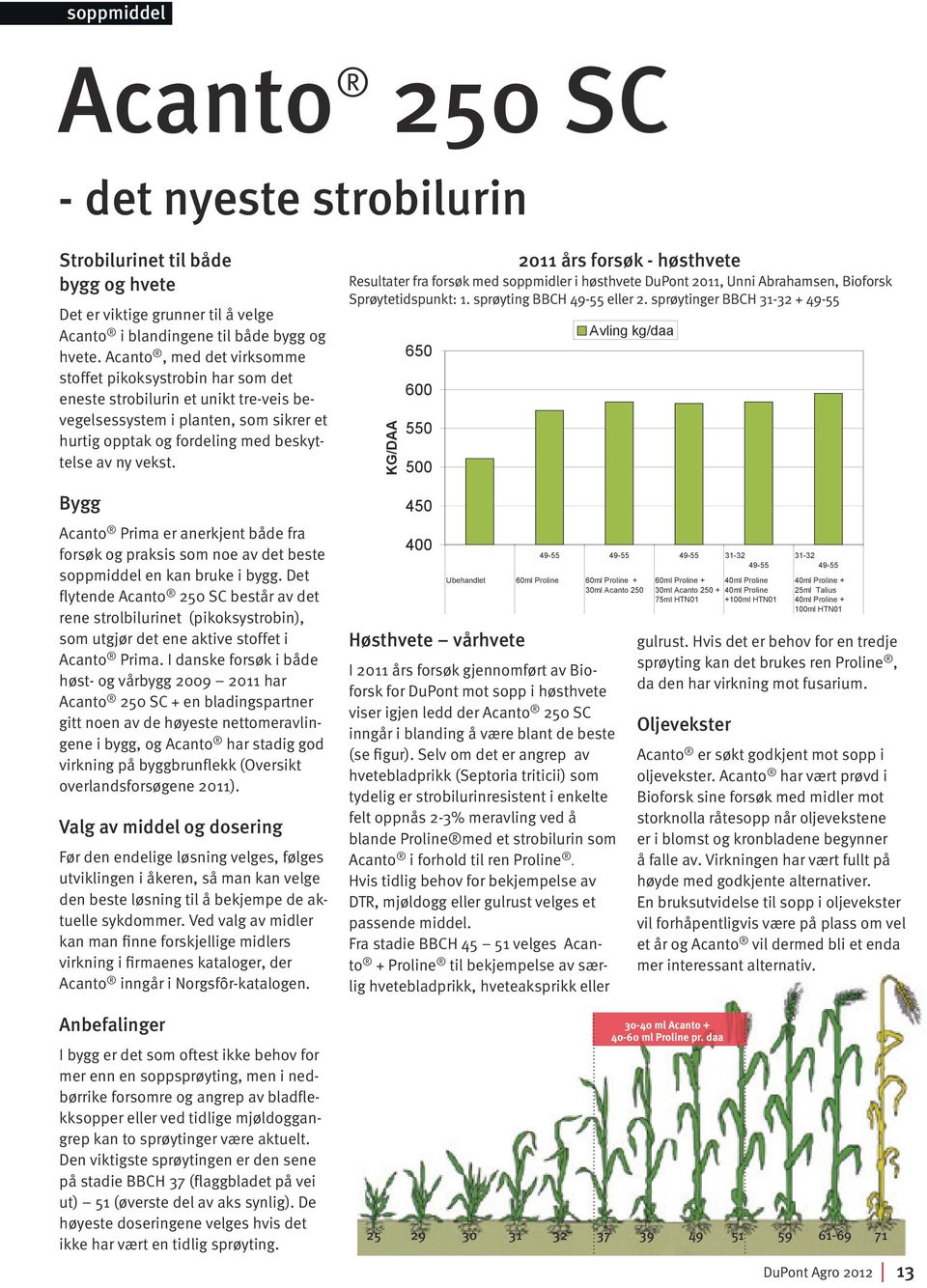 Bygg Acanto Prima er anerkjent både fra forsøk og praksis som noe av det beste soppmiddel en kan bruke i bygg.