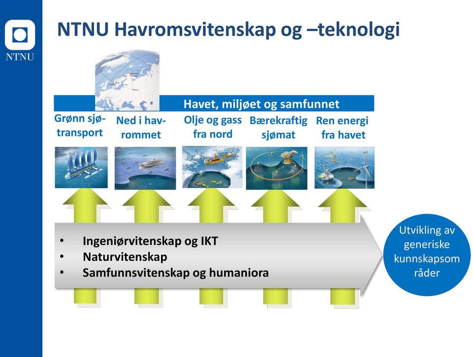 Bærekraftig sjømat Ren energi fra havet Ingeniørvitenskap og IKT