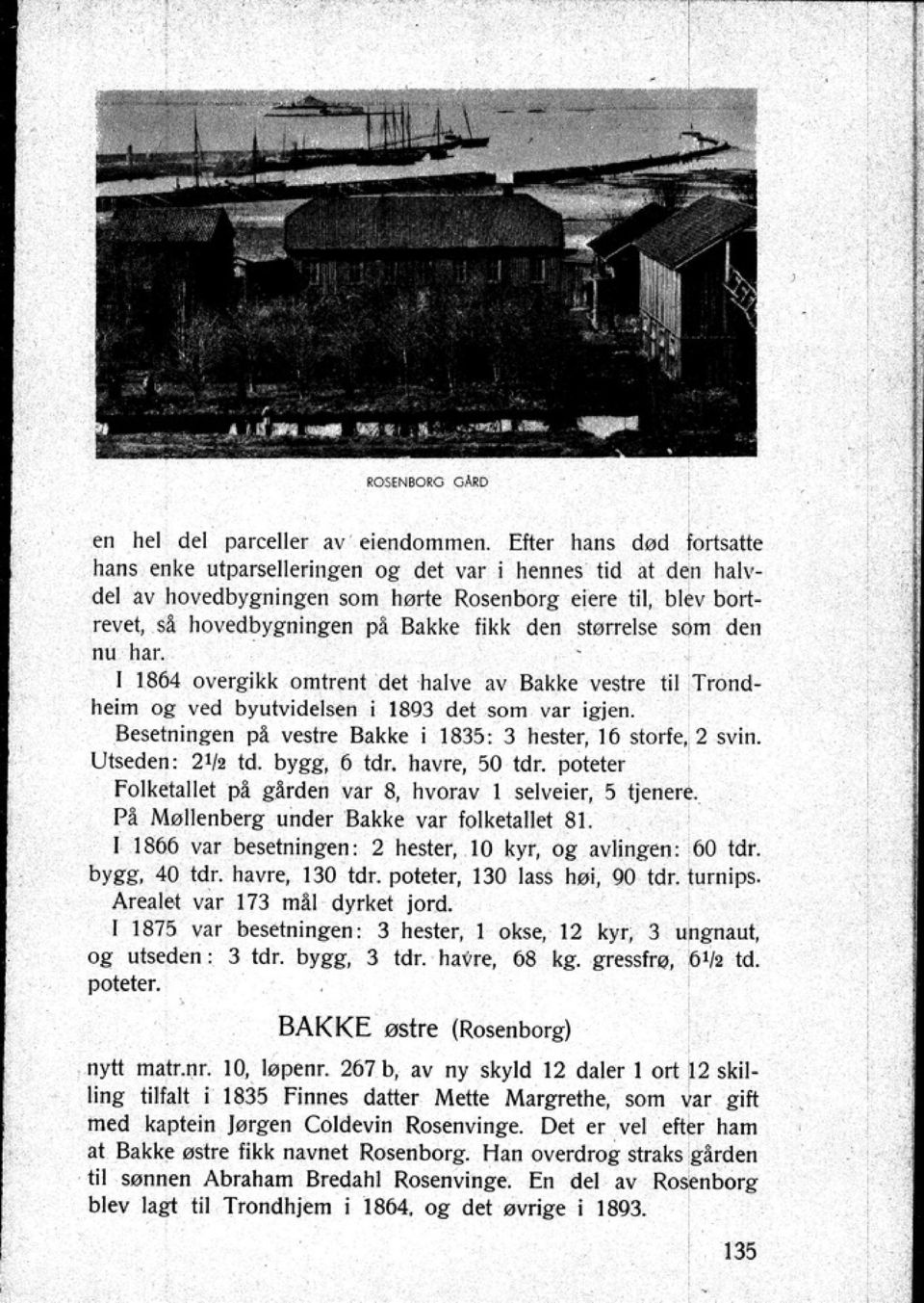 som den nu har. I 1864 overgikk omtrent det halve av Bakke vestre til Trondheim og ved byutvidelsen i 1893 de! som var igjen. Besetningen pl vestre Bakke i 1835: 3 hester 16 storfe 2 svin.