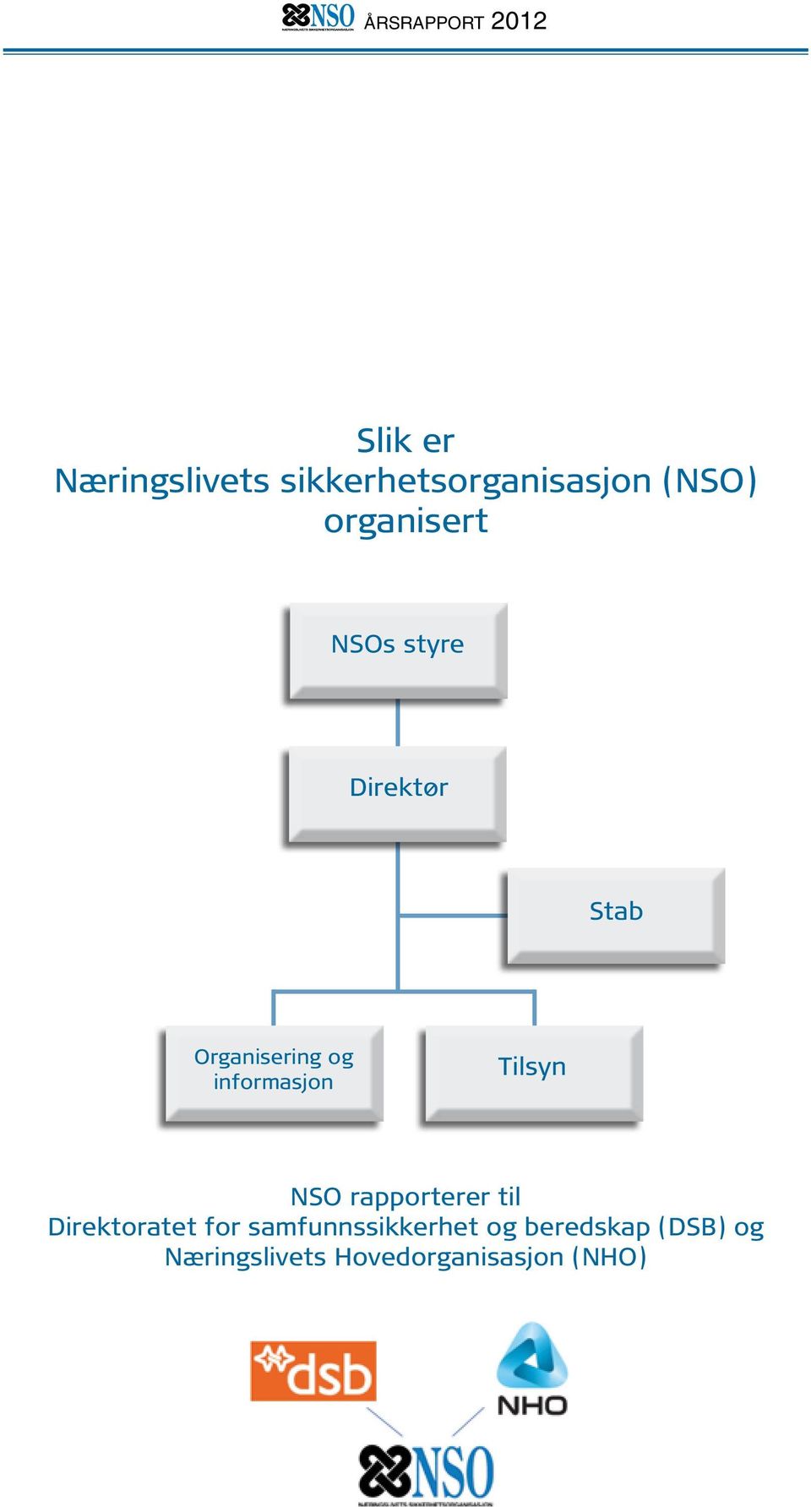 informasjon Tilsyn NSO rapporterer til Direktoratet for