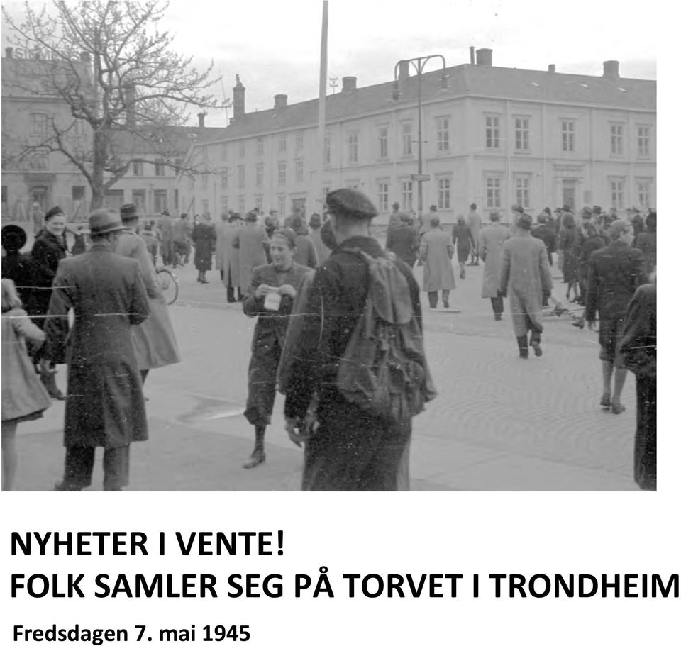 TORVET I TRONDHEIM