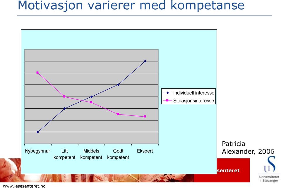 Nybegynnar Litt kompetent Middels