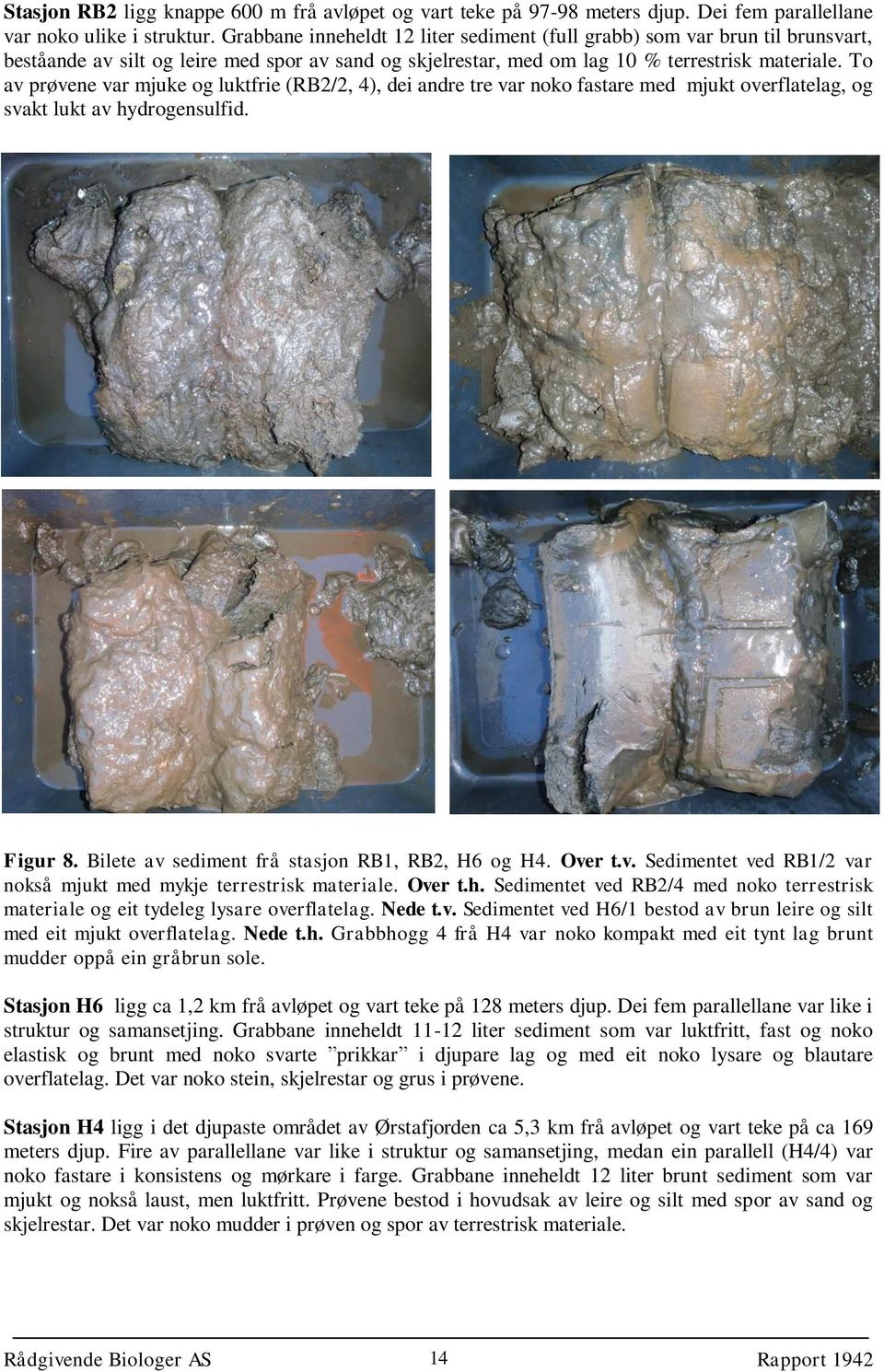 To av prøvene var mjuke og luktfrie (RB2/2, 4), dei andre tre var noko fastare med mjukt overflatelag, og svakt lukt av hydrogensulfid. Figur 8. Bilete av sediment frå stasjon RB1, RB2, H6 og H4.