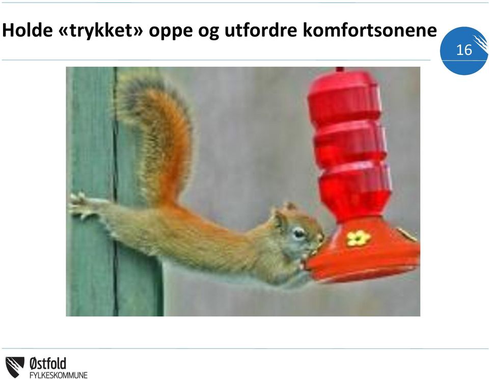 oppe og