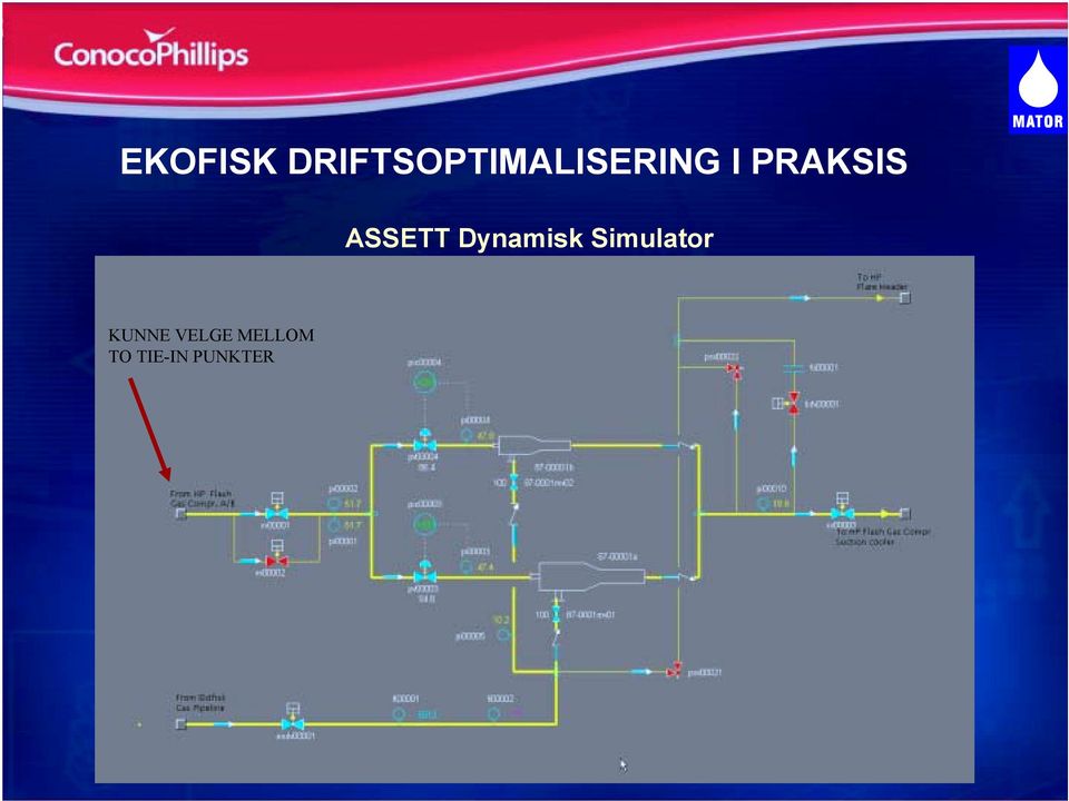 PRAKSIS ASSETT Dynamisk