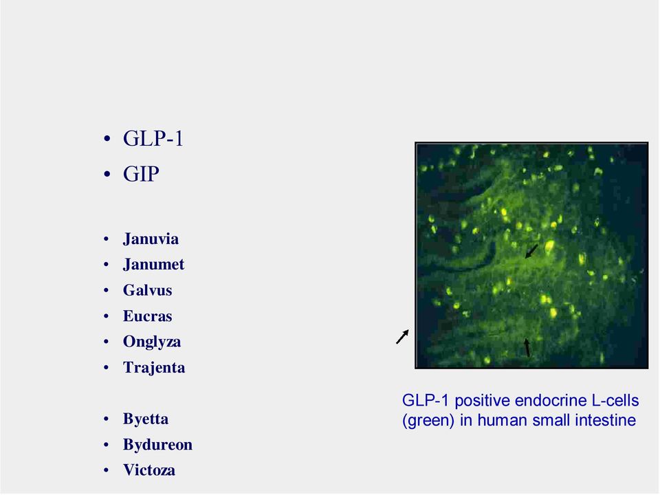 Bydureon Victoza GLP-1 positive