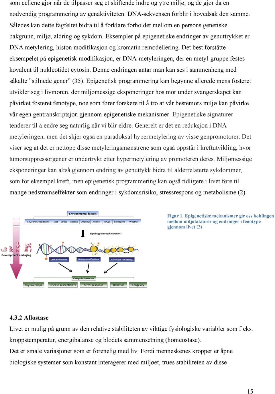 Eksempler på epigenetiske endringer av genuttrykket er DNA metylering, histon modifikasjon og kromatin remodellering.