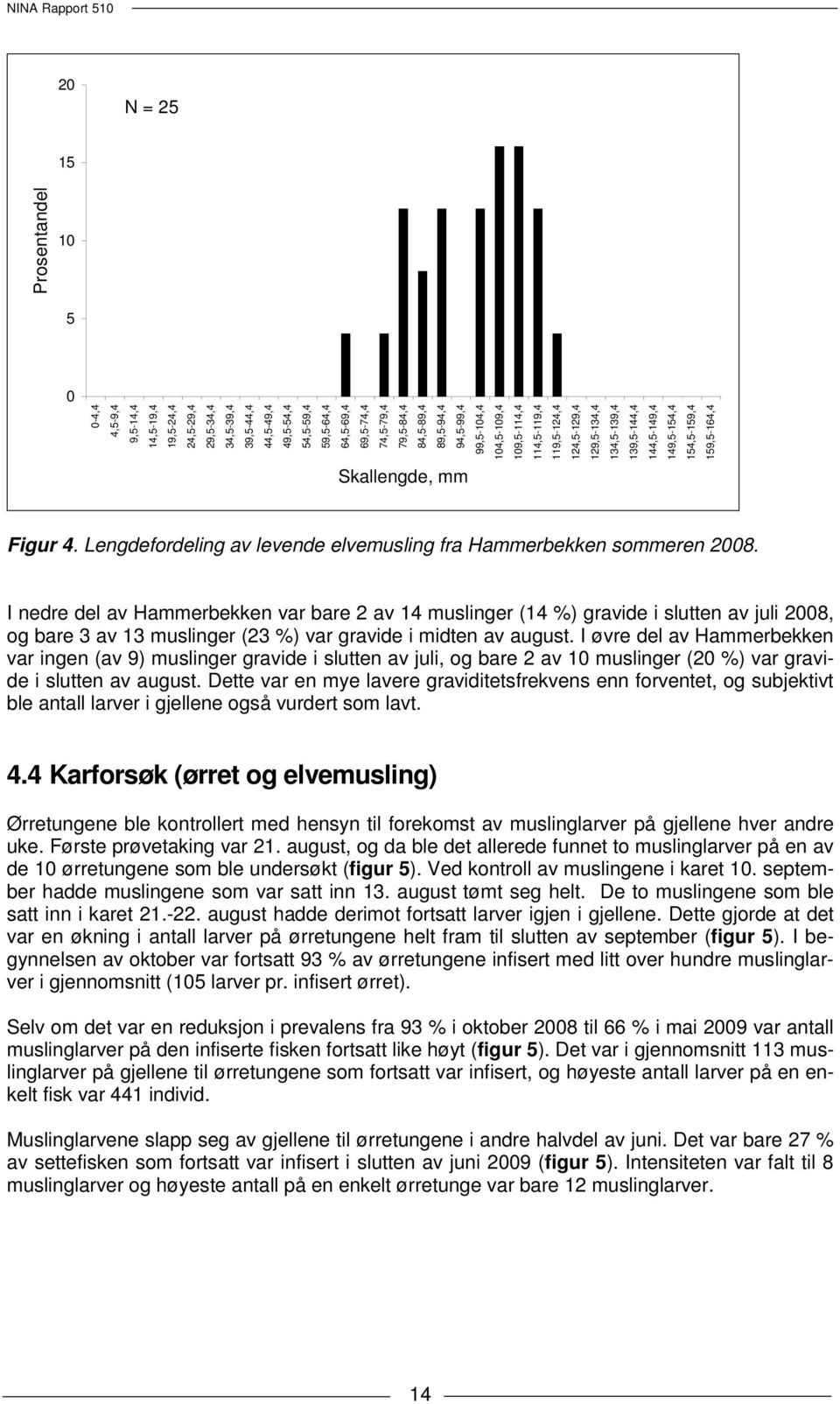 Figur 4. Lengdefordeling av levende elvemusling fra Hammerbekken sommeren 2008.