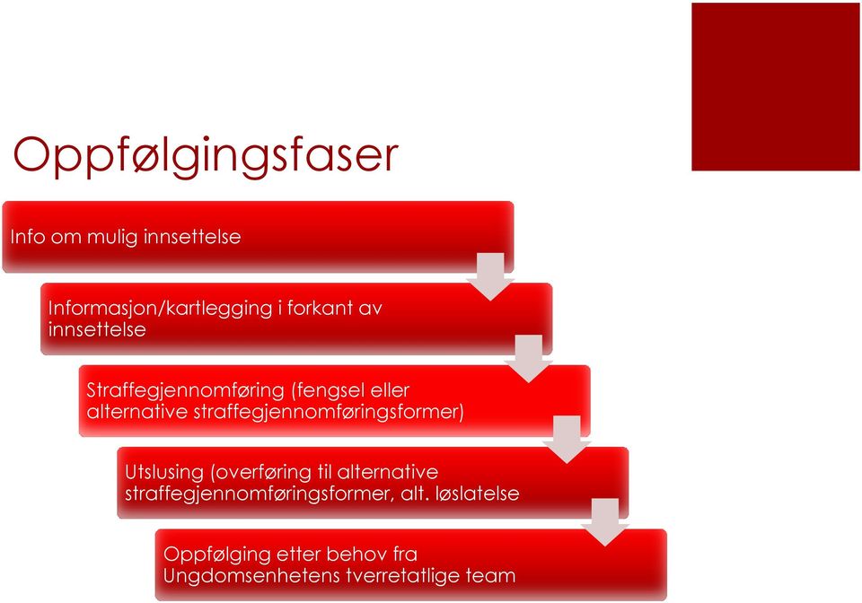 alternative straffegjennomføringsformer) Utslusing (overføring til alternative