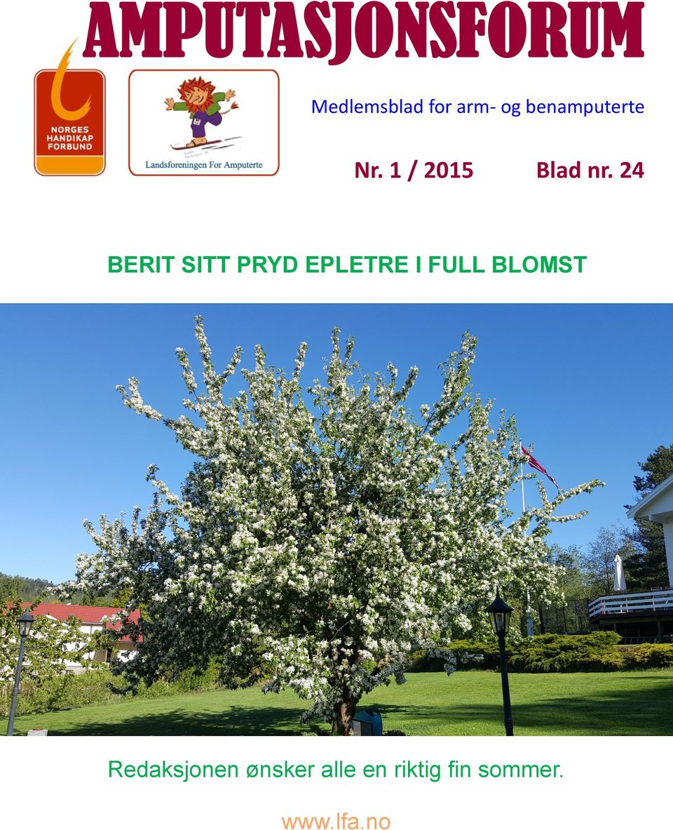 benamputerte Nr. 1 / 2015 Blad nr.