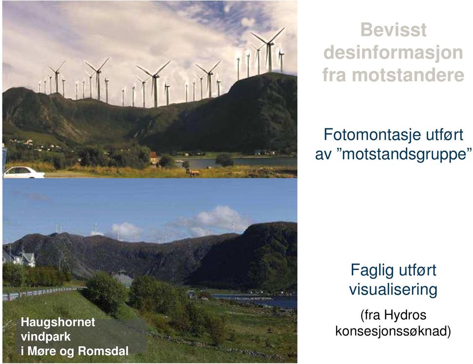 Haugshornet vindpark i Møre og Romsdal side 13