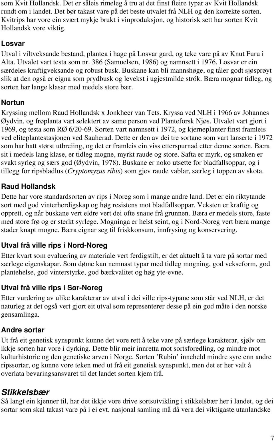 Losvar Utval i viltveksande bestand, plantea i hage på Losvar gard, og teke vare på av Knut Furu i Alta. Utvalet vart testa som nr. 386 (Samuelsen, 1986) og namnsett i 1976.