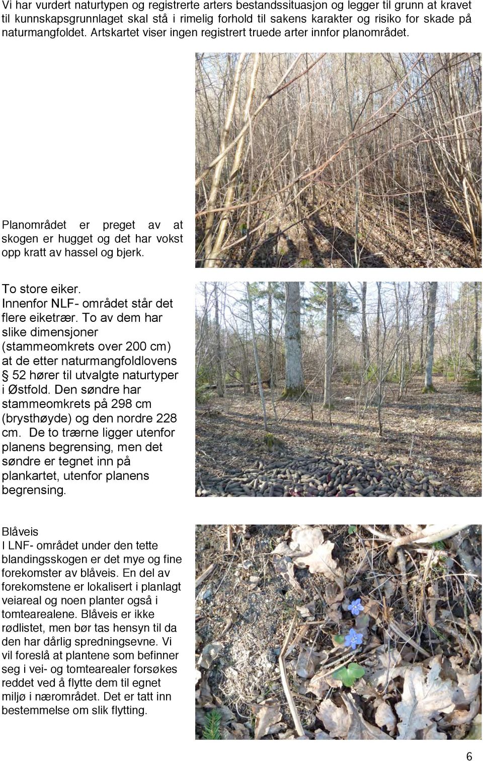 Innenfor NLF- området står det flere eiketrær. To av dem har slike dimensjoner (stammeomkrets over 200 cm) at de etter naturmangfoldlovens 52 hører til utvalgte naturtyper i Østfold.