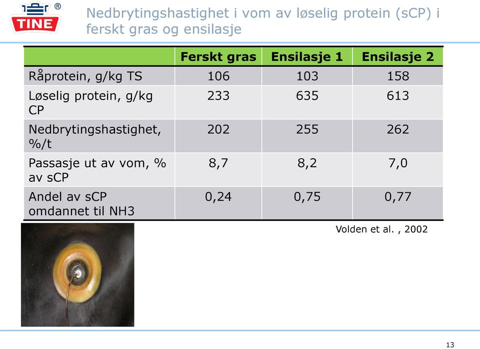 protein, g/kg CP Nedbrytingshastighet, %/t Passasje ut av vom, % av scp Andel av