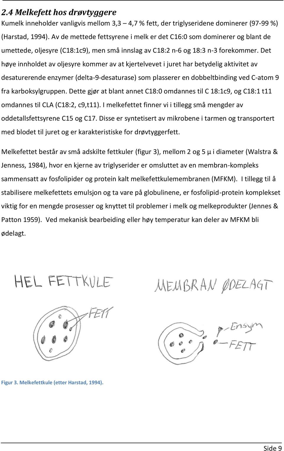 Det høye innholdet av oljesyre kommer av at kjertelvevet i juret har betydelig aktivitet av desaturerende enzymer (delta-9-desaturase) som plasserer en dobbeltbinding ved C-atom 9 fra