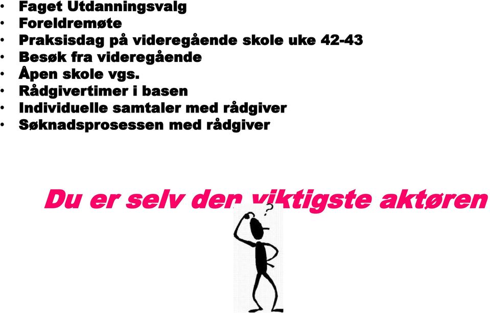 skole vgs.