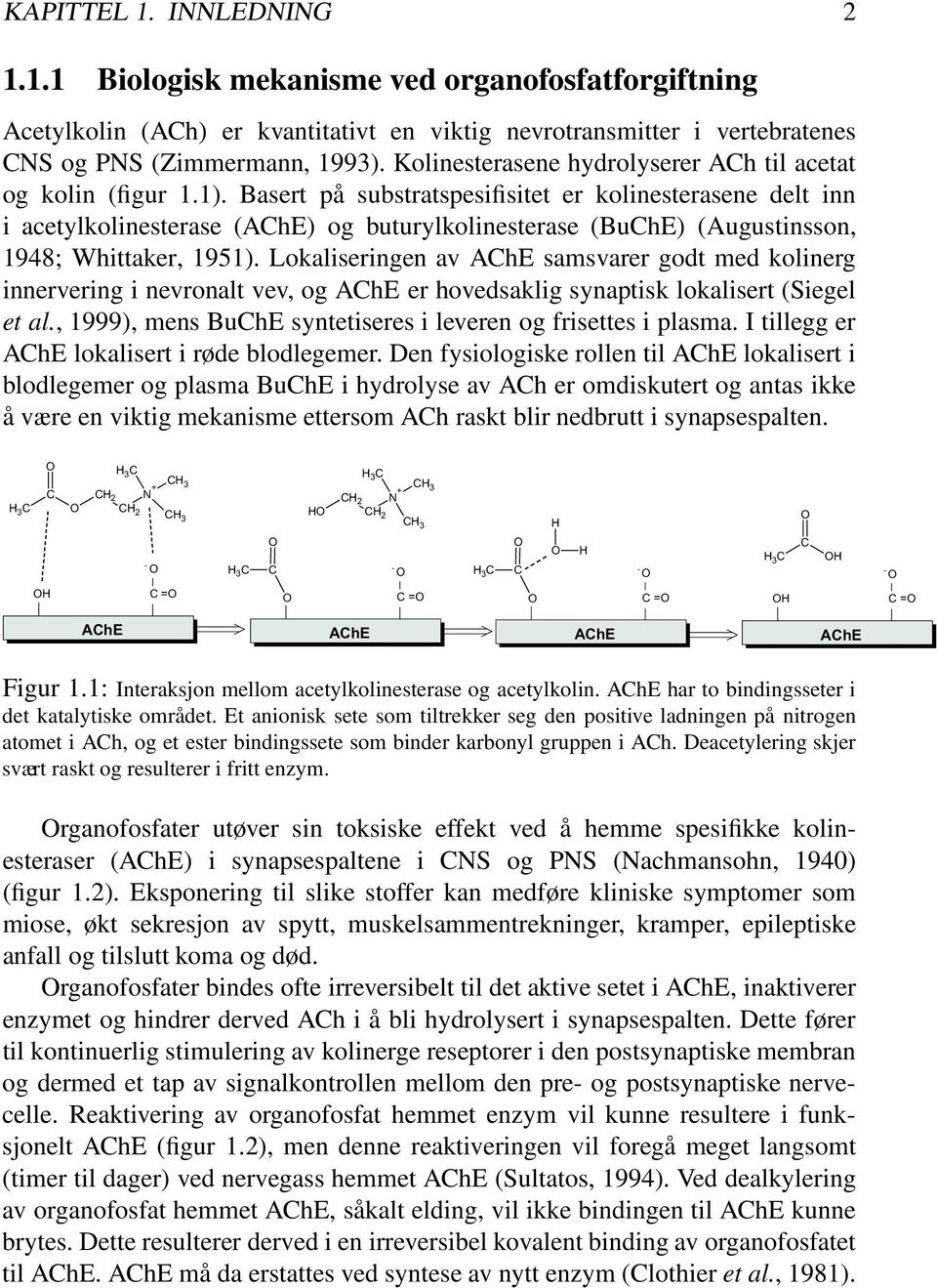 Basert på substratspesifisitet er kolinesterasene delt inn i acetylkolinesterase (AChE) og buturylkolinesterase (BuChE) (Augustinsson, 1948; Whittaker, 1951).