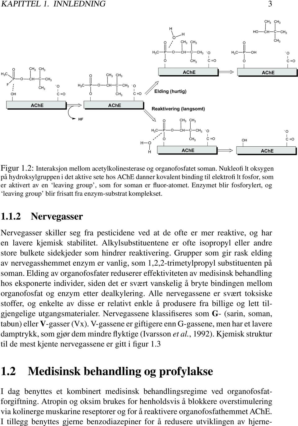 CH 3 C =O CH 3 - O Elding (hurtig) AChE AChE AChE AChE Reaktivering (langsomt) HF O CH 3 CH 3 H 3 C P O CH C CH 3 - O - O H O O CH 3 C =O OH C =O H AChE AChE Figur 1.