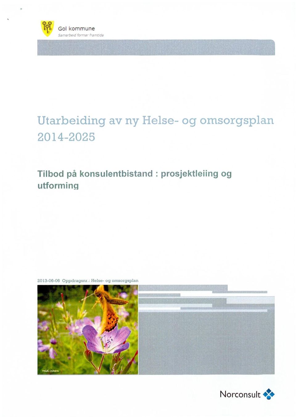 prosjektleiing og 2013-06-06