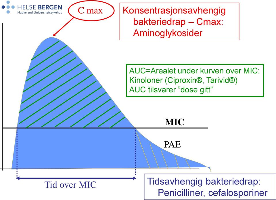 Kinoloner (Ciproxin, Tarivid ) AUC tilsvarer dose gitt