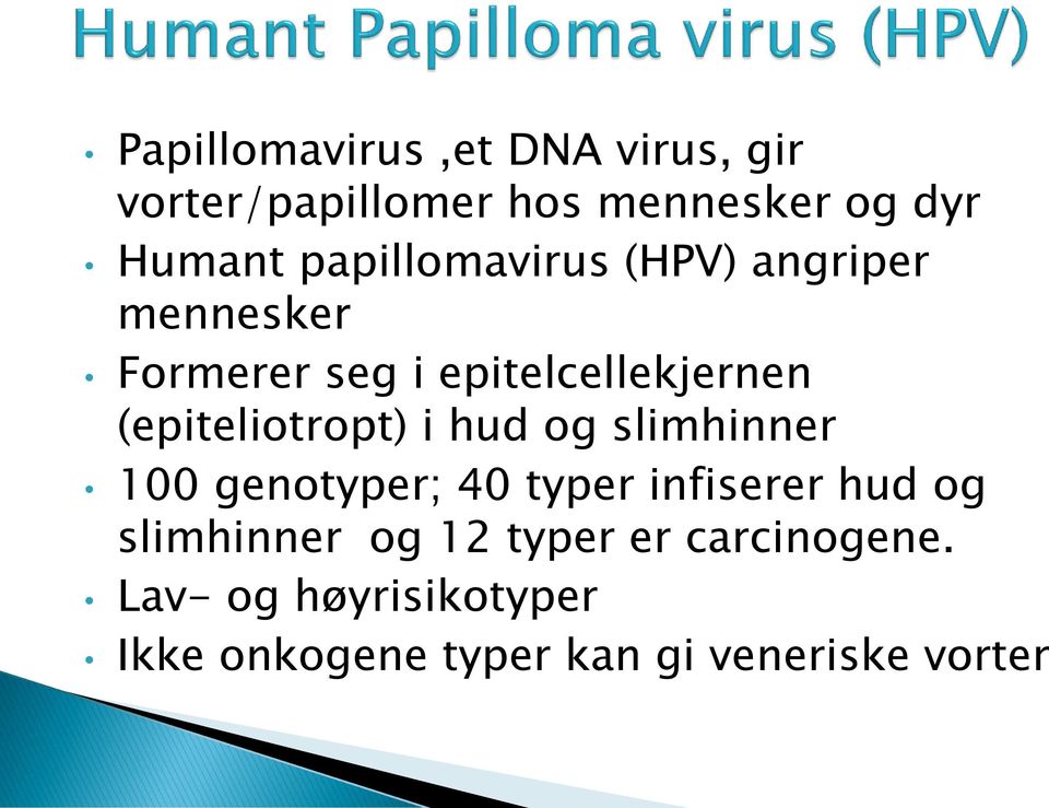 (epiteliotropt) i hud og slimhinner 100 genotyper; 40 typer infiserer hud og