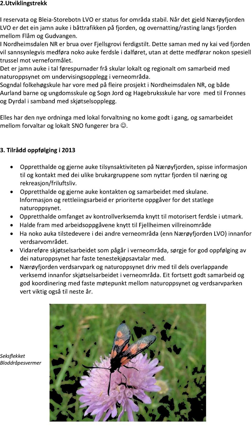 Dette samanmedny kai vedfjorden vil sannsynlegvismedføranoko aukeferdslei dalføret,utan at dette medførarnokonspesiell trusselmot verneformålet.