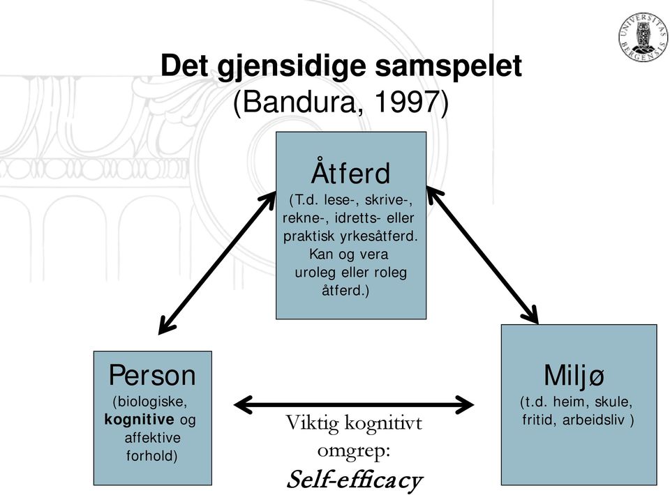 ) Person (biologiske, kognitive og affektive forhold) Viktig kognitivt