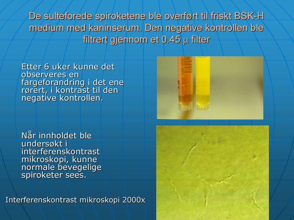 45 filter Etter 6 uker kunne det observeres en fargeforandring i det ene rørert, i kontrast til