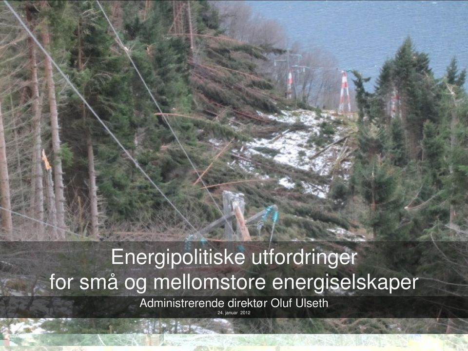 energiselskaper