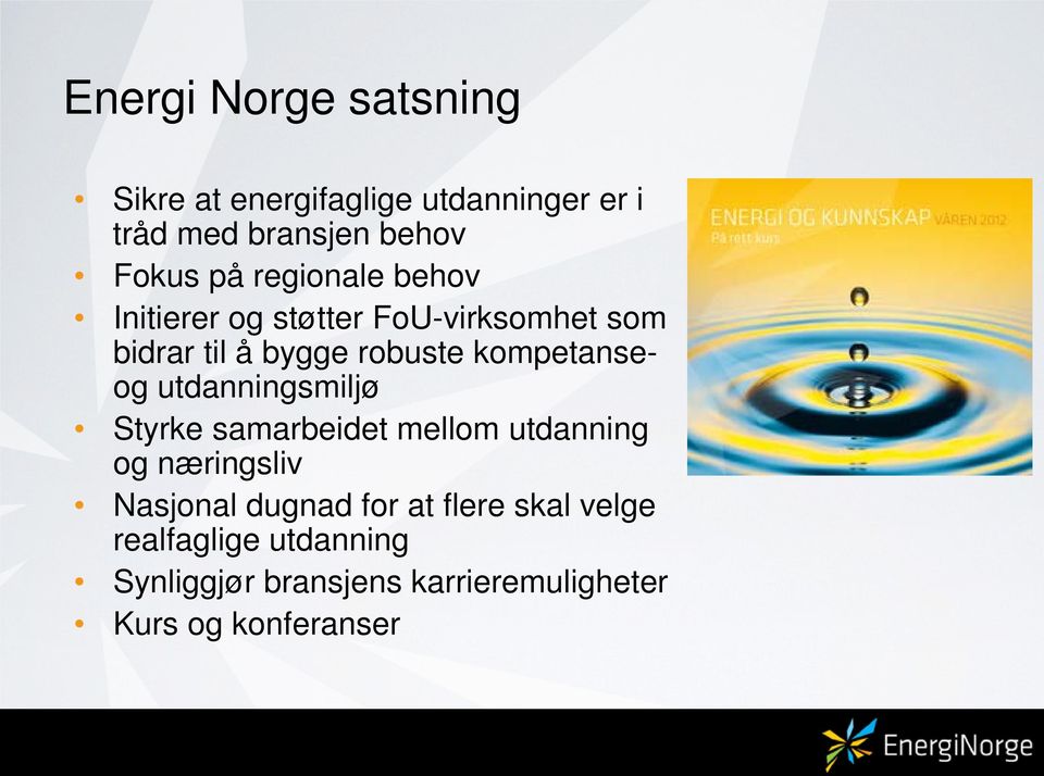 kompetanseog utdanningsmiljø Styrke samarbeidet mellom utdanning og næringsliv Nasjonal dugnad