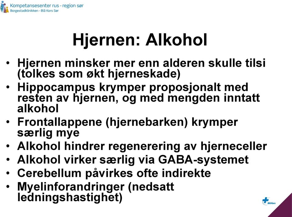 Frontallappene (hjernebarken) krymper særlig mye Alkohol hindrer regenerering av hjerneceller