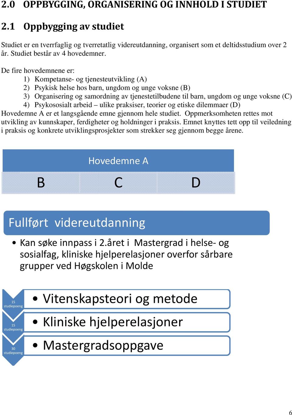 De fire hovedemnene er: 1) Kompetanse- og tjenesteutvikling (A) 2) Psykisk helse hos barn, ungdom og unge voksne (B) 3) Organisering og samordning av tjenestetilbudene til barn, ungdom og unge voksne