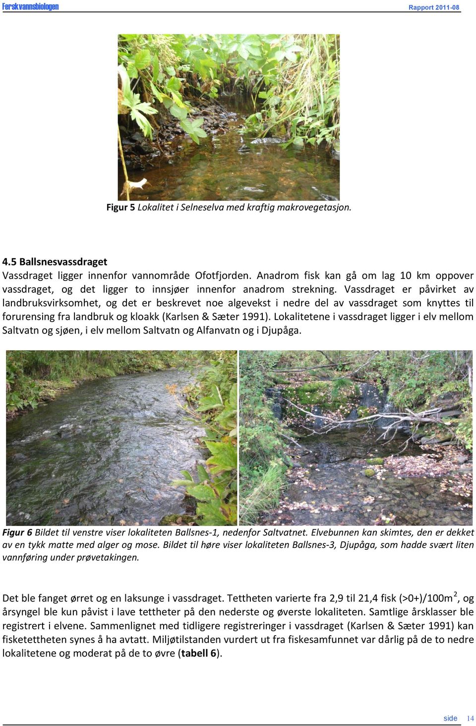 Vassdraget er påvirket av landbruksvirksomhet, og det er beskrevet noe algevekst i nedre del av vassdraget som knyttes til forurensing fra landbruk og kloakk (Karlsen & Sæter 1991).