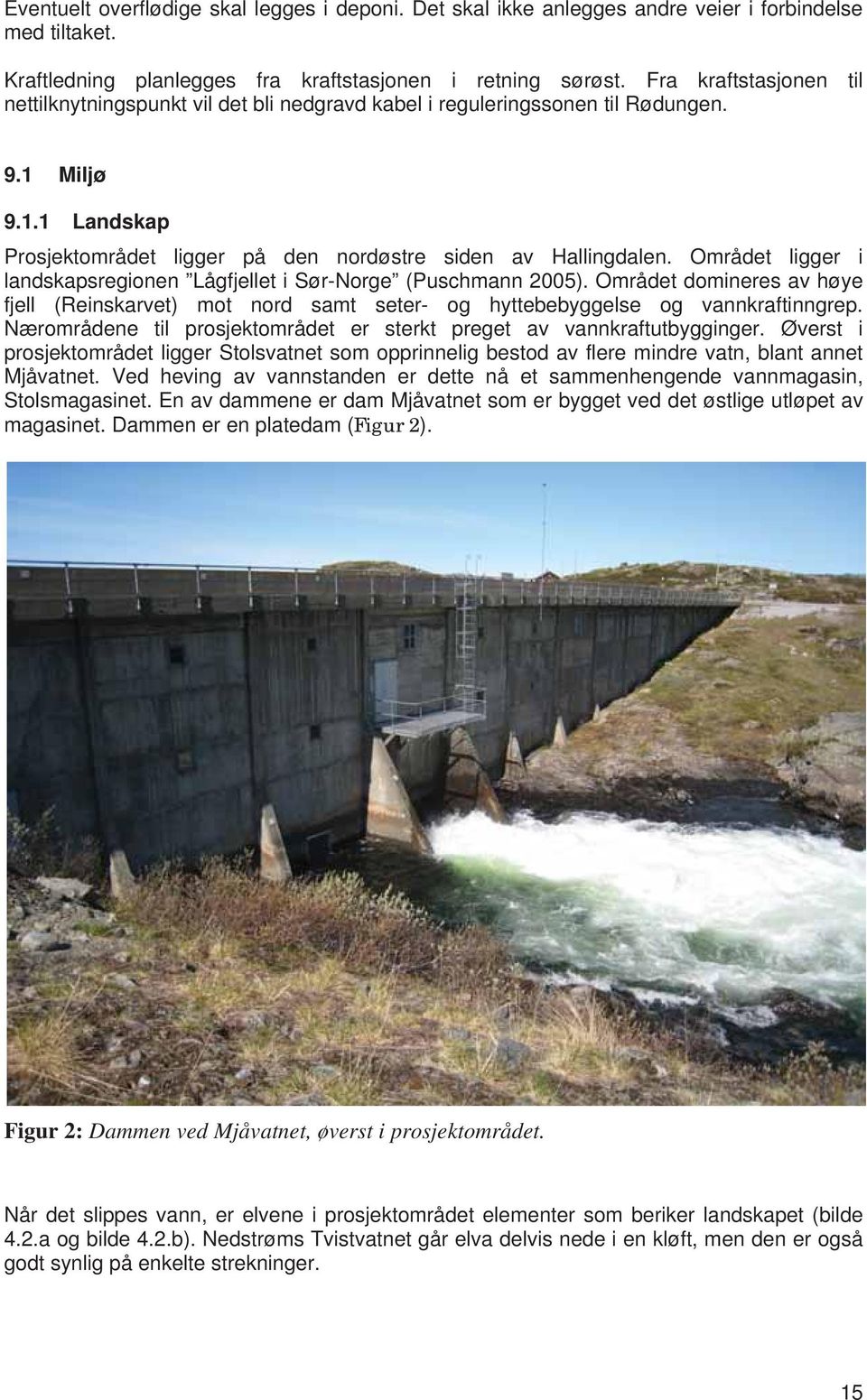 Området ligger i landskapsregionen Lågfjellet i Sør-Norge (Puschmann 2005). Området domineres av høye fjell (Reinskarvet) mot nord samt seter- og hyttebebyggelse og vannkraftinngrep.