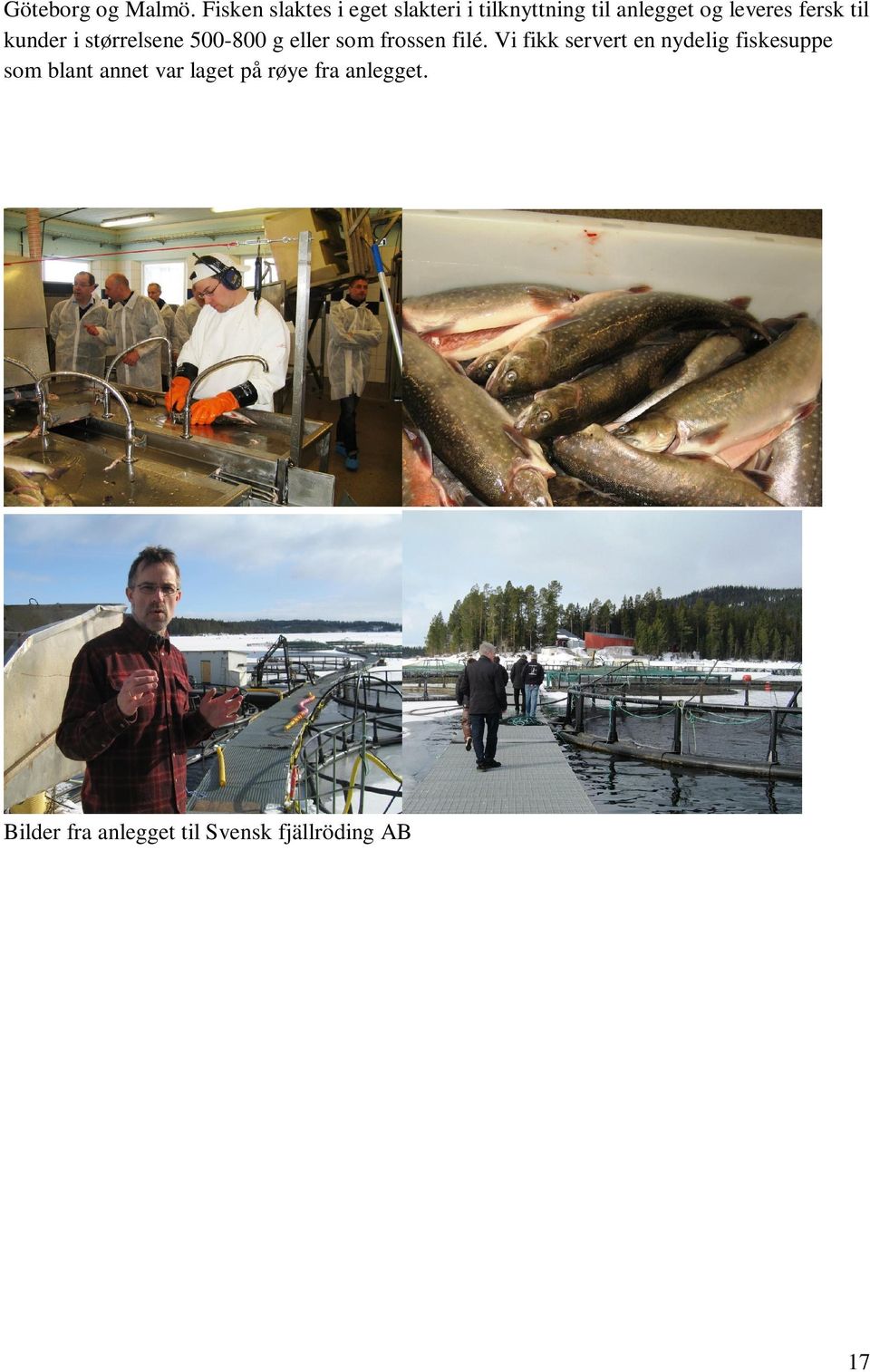 fersk til kunder i størrelsene 500-800 g eller som frossen filé.