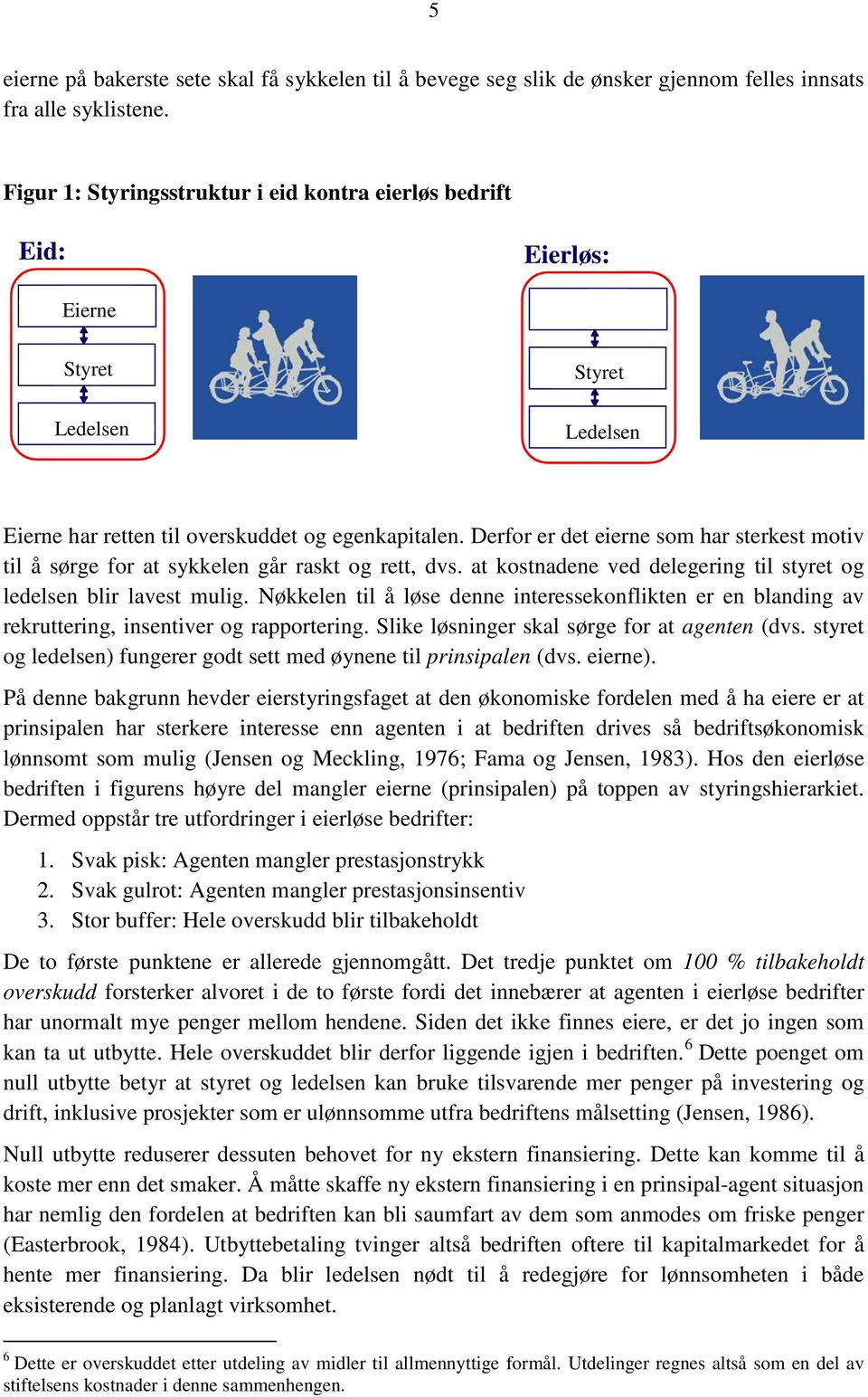 Derfor er det eierne som har sterkest motiv til å sørge for at sykkelen går raskt og rett, dvs. at kostnadene ved delegering til styret og ledelsen blir lavest mulig.